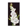 Trademark Fine Art Joanne Porter 'Stem of Gladiolus' Canvas Art, 12x24 ALI47765-C1224GG